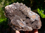 Natural Hemimorphite Drusy Coated Specimen x 1 From Palabanda Mine, Congo