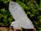 Natural Triple Double Terminated Floater Crystal x 1 From Ambatofinandrahana, Madagascar