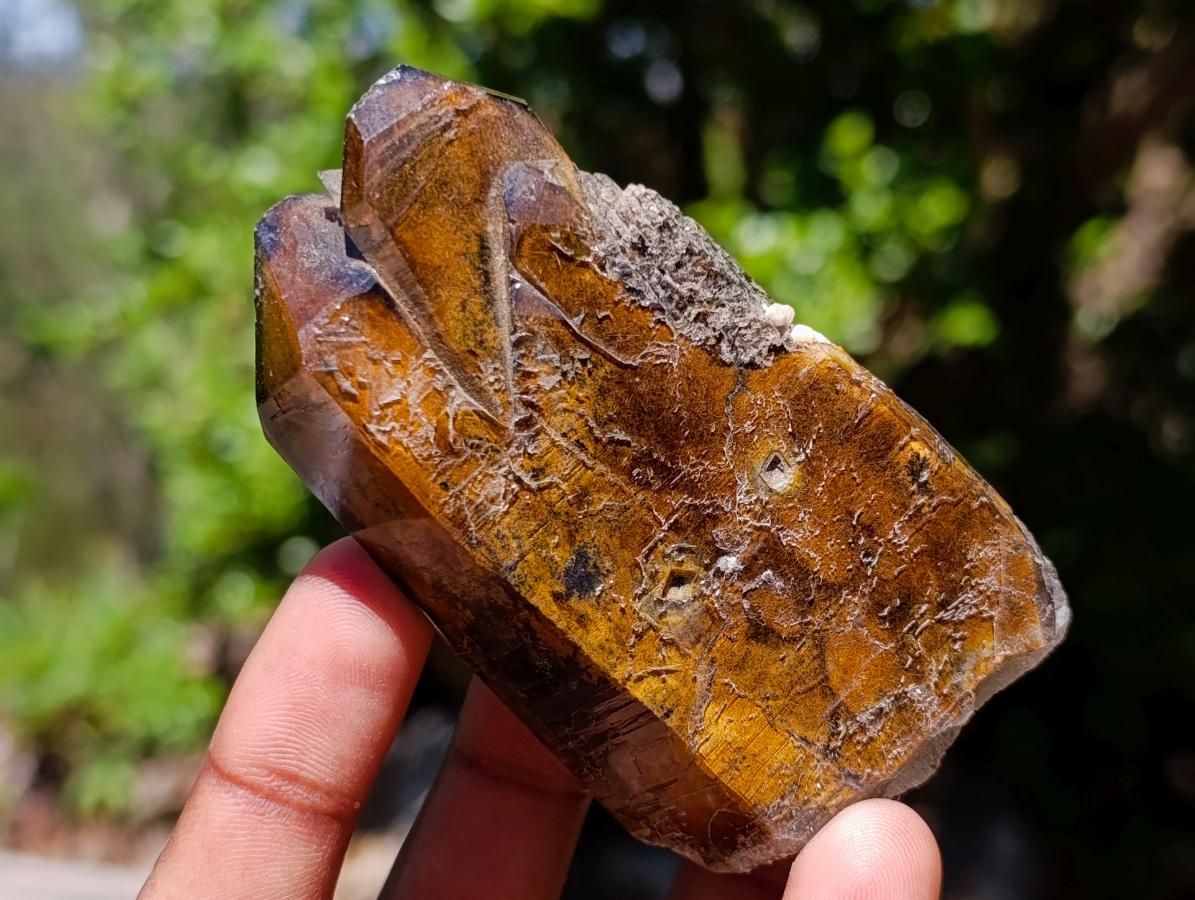 Natural Mixed Set of 6 African Minerals in a Wooden Display Box x 1 From Southern Africa