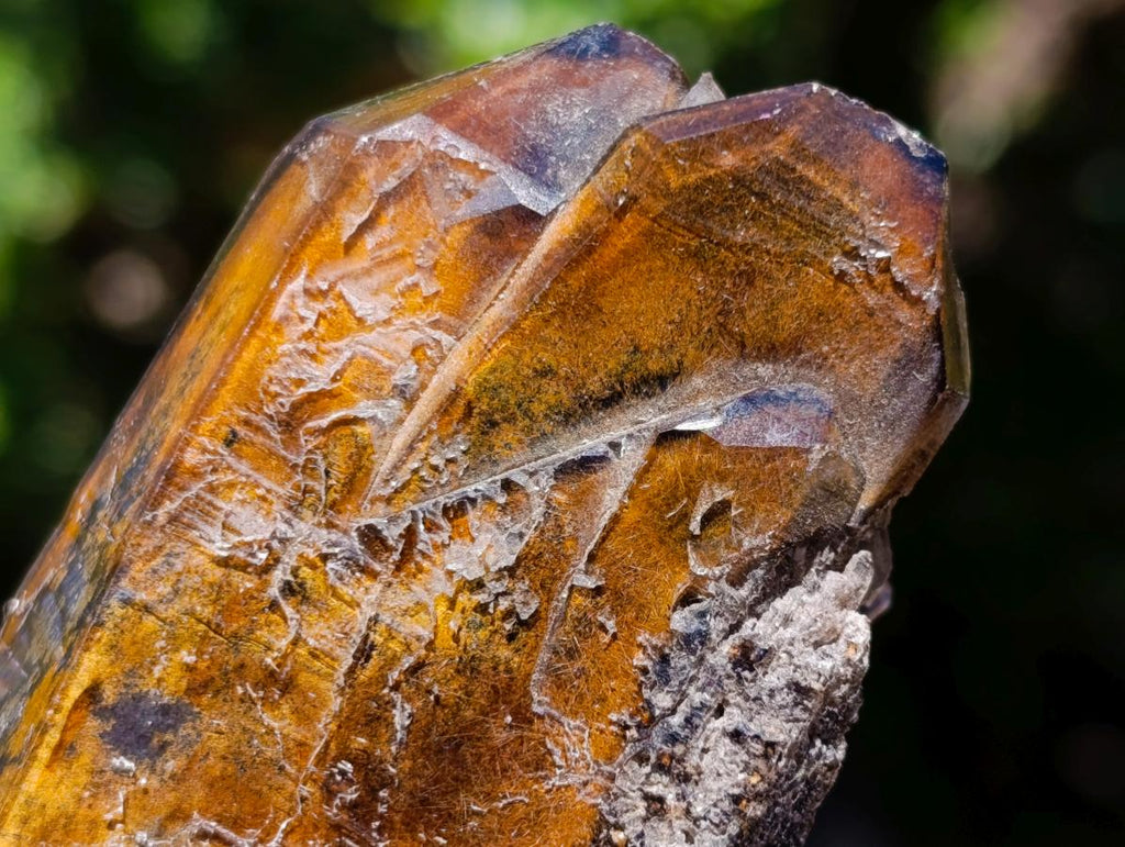 Natural Mixed Set of 6 African Minerals in a Wooden Display Box x 1 From Southern Africa