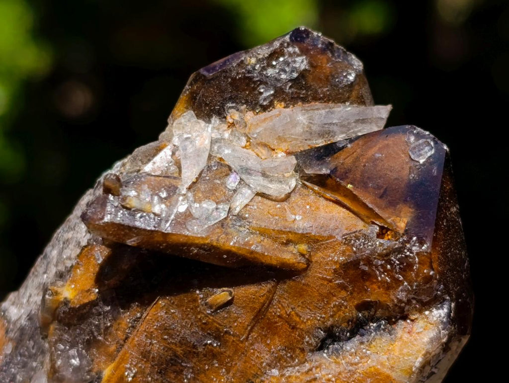 Natural Mixed Set of 6 African Minerals in a Wooden Display Box x 1 From Southern Africa