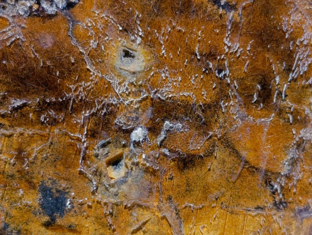 Natural Mixed Set of 6 African Minerals in a Wooden Display Box x 1 From Southern Africa