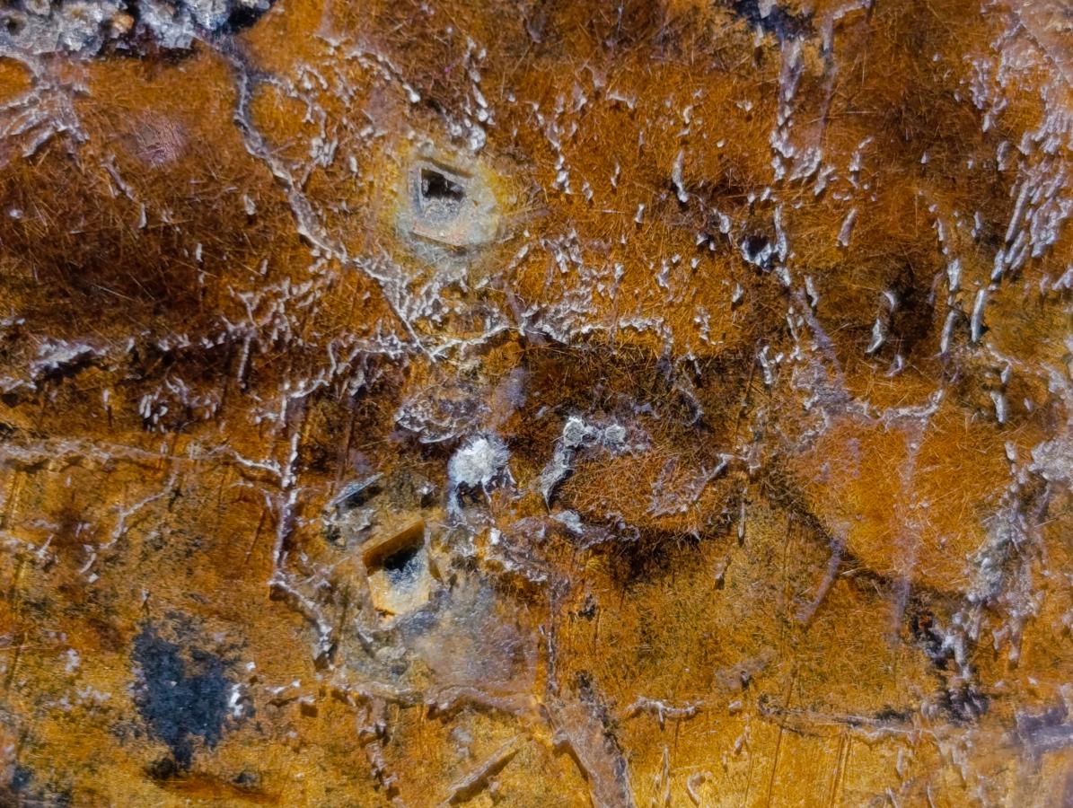 Natural Mixed Set of 6 African Minerals in a Wooden Display Box x 1 From Southern Africa