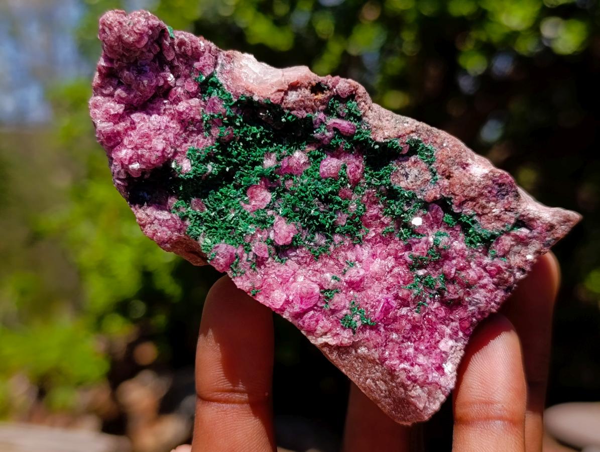 Natural Mixed Set of 6 African Minerals in a Wooden Display Box x 1 From Southern Africa