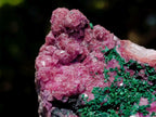 Natural Mixed Set of 6 African Minerals in a Wooden Display Box x 1 From Southern Africa