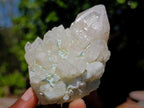 Natural Mixed Set of 6 African Minerals in a Wooden Display Box x 1 From Southern Africa