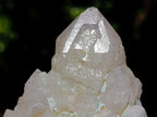 Natural Mixed Set of 6 African Minerals in a Wooden Display Box x 1 From Southern Africa