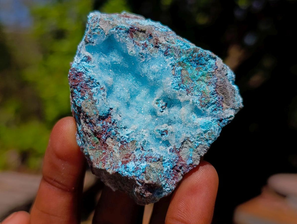 Natural Mixed Set of 6 African Minerals in a Wooden Display Box x 1 From Southern Africa