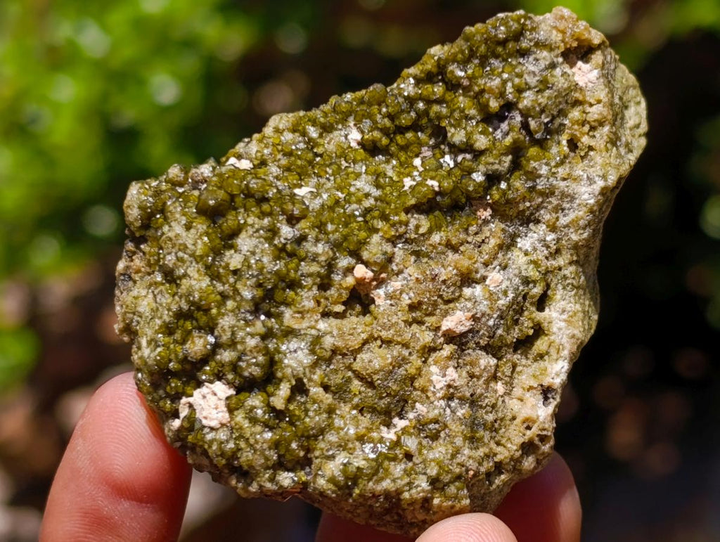 Natural Mixed Set of 6 African Minerals in a Wooden Display Box x 1 From Southern Africa