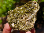 Natural Mixed Set of 6 African Minerals in a Wooden Display Box x 1 From Southern Africa