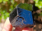 Natural Mixed Set of 12 African Minerals and a Fossil in a Wooden Display Box x 1 From Southern Africa