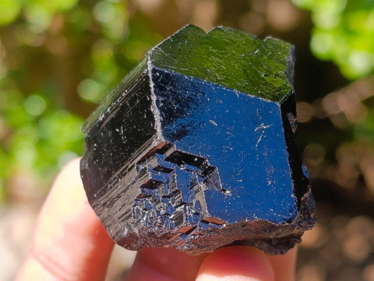 Natural Mixed Set of 12 African Minerals and a Fossil in a Wooden Display Box x 1 From Southern Africa