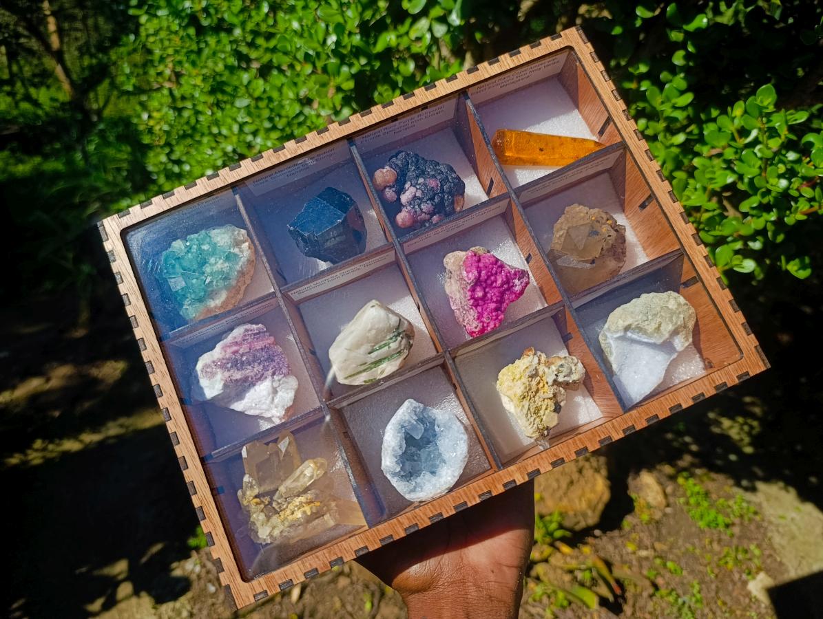 Natural Mixed Set of 12 African Minerals and a Fossil in a Wooden Display Box x 1 From Southern Africa