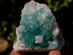 Natural Mixed Set of 12 African Minerals and a Fossil in a Wooden Display Box x 1 From Southern Africa