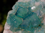 Natural Mixed Set of 12 African Minerals and a Fossil in a Wooden Display Box x 1 From Southern Africa