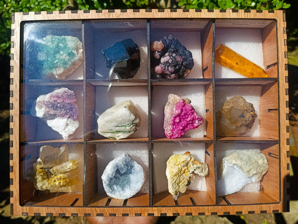 Natural Mixed Set of 12 African Minerals and a Fossil in a Wooden Display Box x 1 From Southern Africa