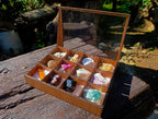 Natural Mixed Set of 12 African Minerals and a Fossil in a Wooden Display Box x 1 From Southern Africa