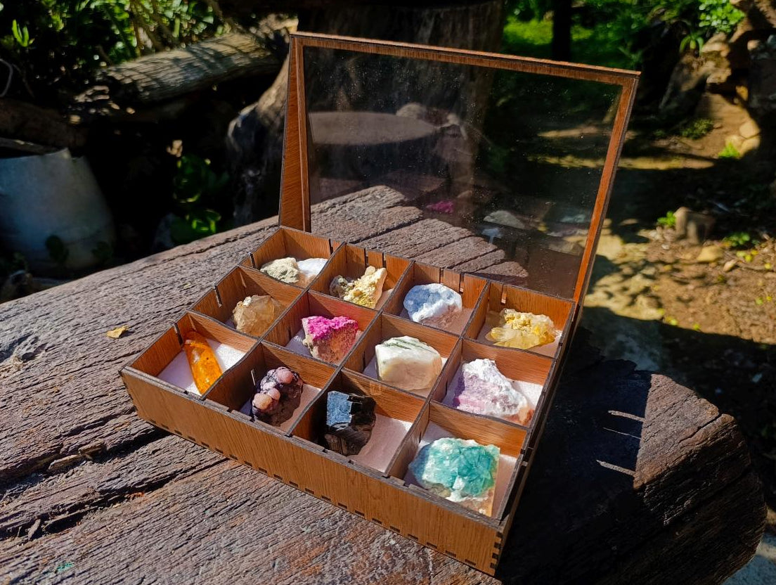 Natural Mixed Set of 12 African Minerals and a Fossil in a Wooden Display Box x 1 From Southern Africa