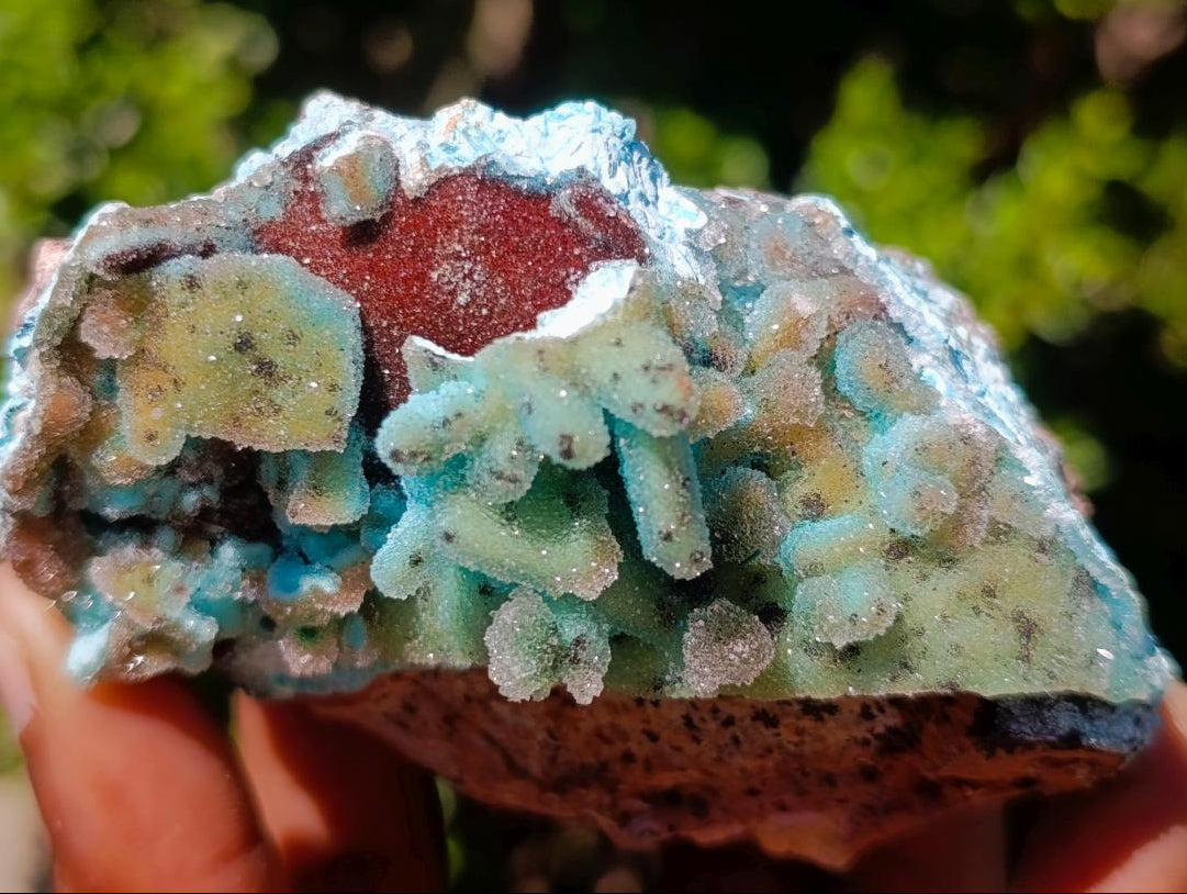 Natural Stalagmitic Drusy Coated Chrysocolla Pseudomorph Specimen x 1 from  Lupoto Mine, Congo