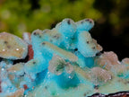 Natural Stalagmitic Drusy Coated Chrysocolla Pseudomorph Specimen x 1 from  Lupoto Mine, Congo