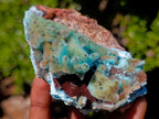 Natural Stalagmitic Drusy Coated Chrysocolla Pseudomorph Specimen x 1 from  Lupoto Mine, Congo