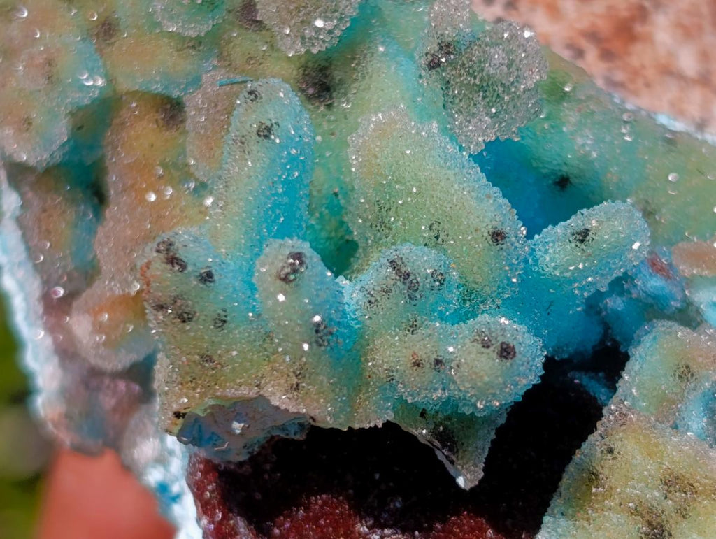 Natural Stalagmitic Drusy Coated Chrysocolla Pseudomorph Specimen x 1 from  Lupoto Mine, Congo
