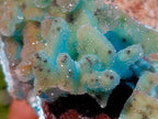 Natural Stalagmitic Drusy Coated Chrysocolla Pseudomorph Specimen x 1 from  Lupoto Mine, Congo