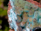 Natural Stalagmitic Drusy Coated Chrysocolla Pseudomorph Specimen x 1 from  Lupoto Mine, Congo