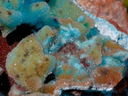 Natural Stalagmitic Drusy Coated Chrysocolla Pseudomorph Specimen x 1 from  Lupoto Mine, Congo