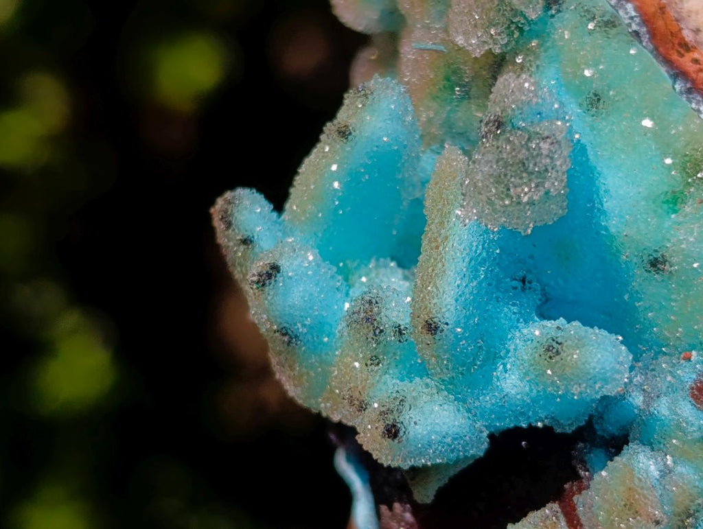 Natural Stalagmitic Drusy Coated Chrysocolla Pseudomorph Specimen x 1 from  Lupoto Mine, Congo