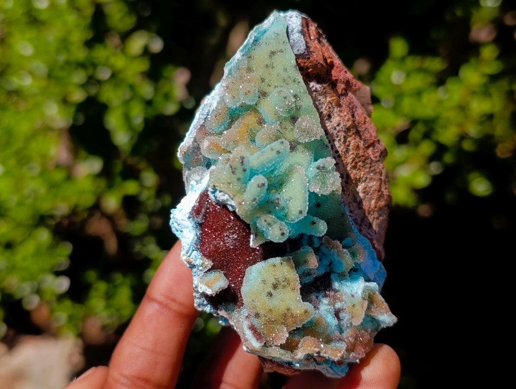 Natural Stalagmitic Drusy Coated Chrysocolla Pseudomorph Specimen x 1 from  Lupoto Mine, Congo