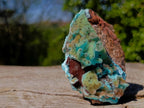 Natural Stalagmitic Drusy Coated Chrysocolla Pseudomorph Specimen x 1 from  Lupoto Mine, Congo