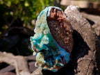 Natural Stalagmitic Drusy Coated Chrysocolla Pseudomorph Specimen x 1 from  Lupoto Mine, Congo