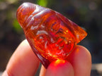 Polished Set of 3 Fossil Baltic Amber Carved Buddha with 2 Mini Jars of Polished Amber x 1  From Poland