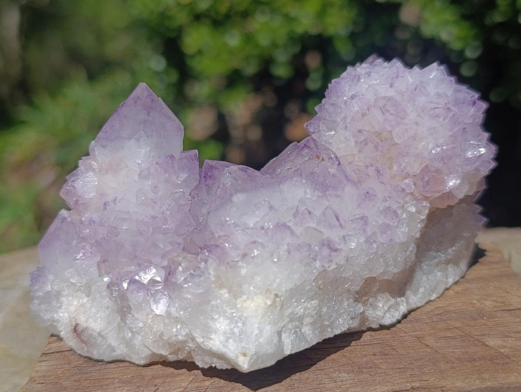 Natural Gorgeous Cactus Flower Sunburst Spirit Amethyst Crystal Cluster x 1 From Boekenhouthoek, South Africa