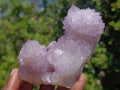 Natural Gorgeous Cactus Flower Sunburst Spirit Amethyst Crystal Cluster x 1 From Boekenhouthoek, South Africa