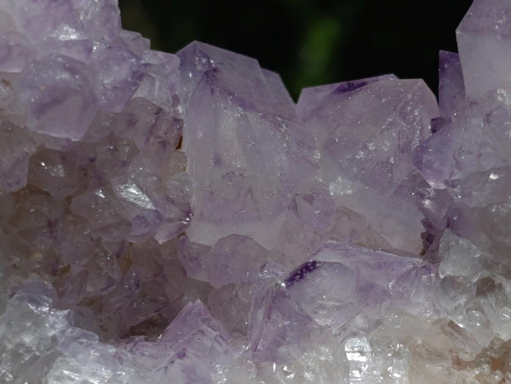 Natural Gorgeous Cactus Flower Sunburst Spirit Amethyst Crystal Cluster x 1 From Boekenhouthoek, South Africa