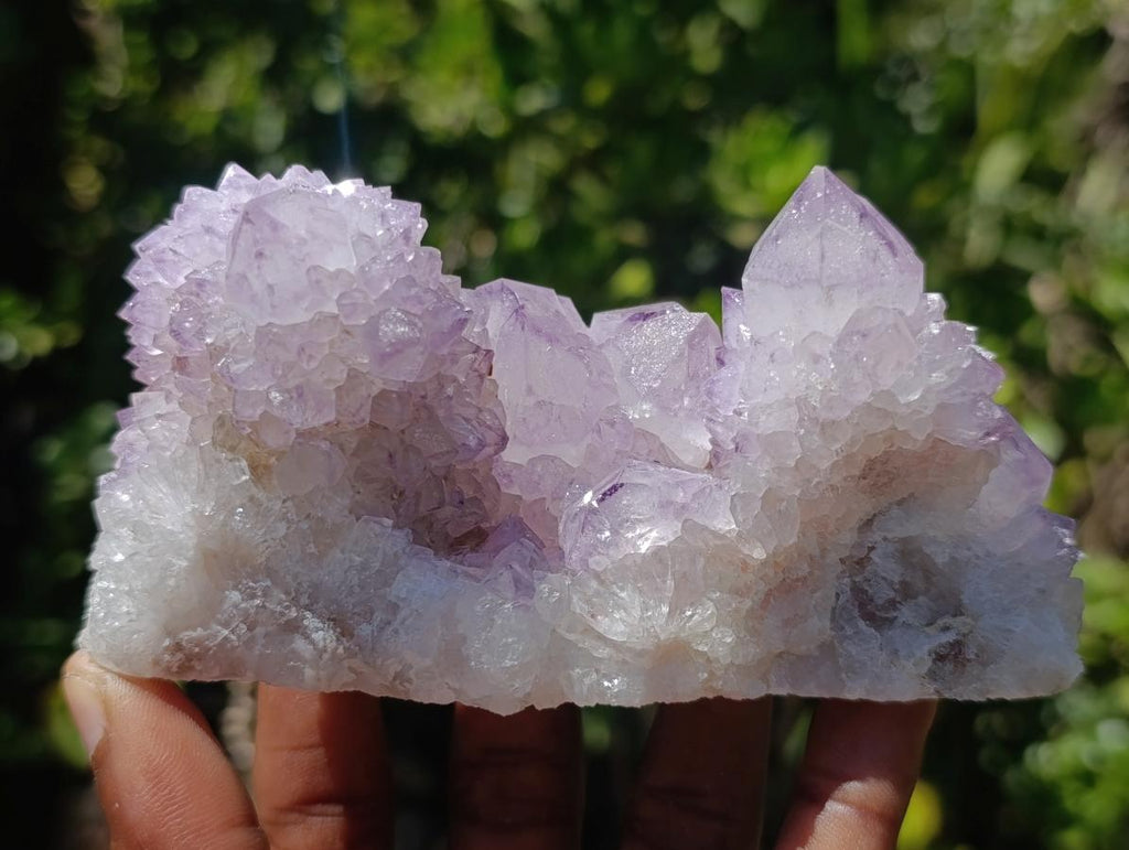 Natural Gorgeous Cactus Flower Sunburst Spirit Amethyst Crystal Cluster x 1 From Boekenhouthoek, South Africa