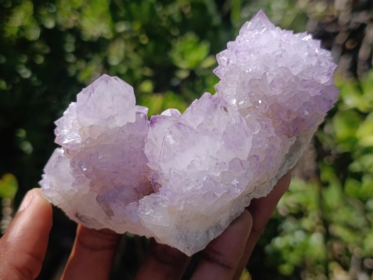 Natural Gorgeous Cactus Flower Sunburst Spirit Amethyst Crystal Cluster x 1 From Boekenhouthoek, South Africa