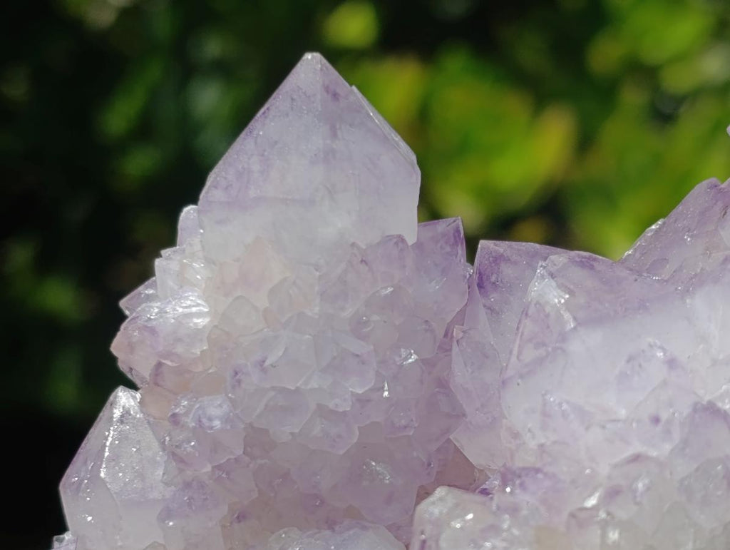 Natural Gorgeous Cactus Flower Sunburst Spirit Amethyst Crystal Cluster x 1 From Boekenhouthoek, South Africa