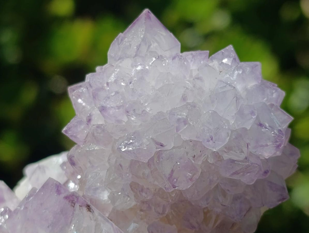 Natural Gorgeous Cactus Flower Sunburst Spirit Amethyst Crystal Cluster x 1 From Boekenhouthoek, South Africa