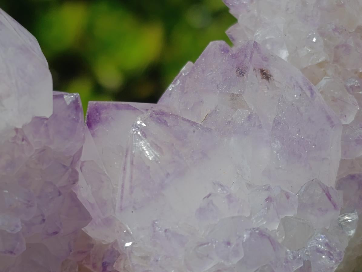 Natural Gorgeous Cactus Flower Sunburst Spirit Amethyst Crystal Cluster x 1 From Boekenhouthoek, South Africa