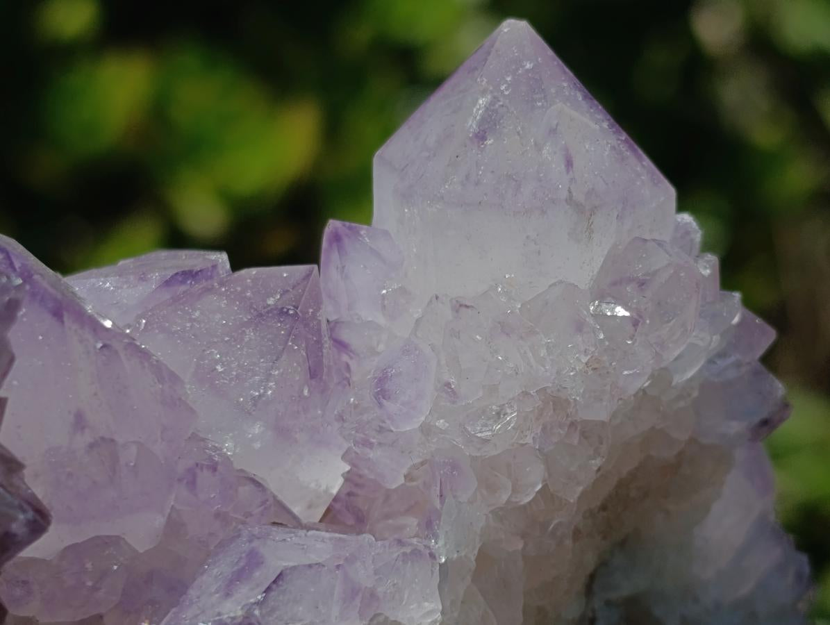 Natural Gorgeous Cactus Flower Sunburst Spirit Amethyst Crystal Cluster x 1 From Boekenhouthoek, South Africa