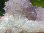 Natural Gorgeous Cactus Flower Sunburst Spirit Amethyst Crystal Cluster x 1 From Boekenhouthoek, South Africa