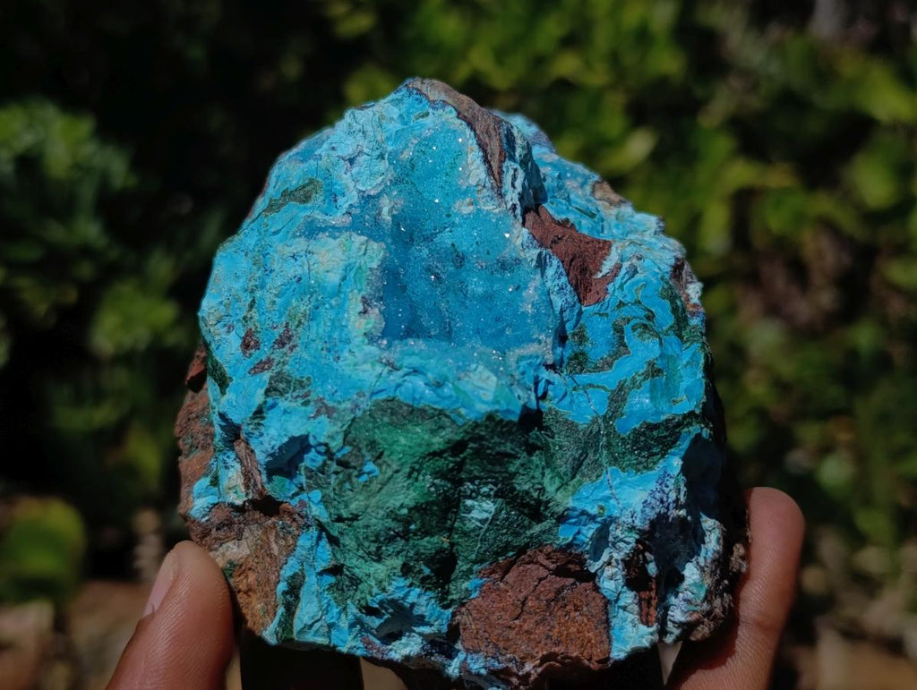 Natural Drusy Coated Chrysocolla with Malachite on a Ferro Dolomite Matrix x 1 From Lupoto Mine, Congo