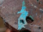 Natural Drusy Coated Chrysocolla with Malachite on a Ferro Dolomite Matrix x 1 From Lupoto Mine, Congo