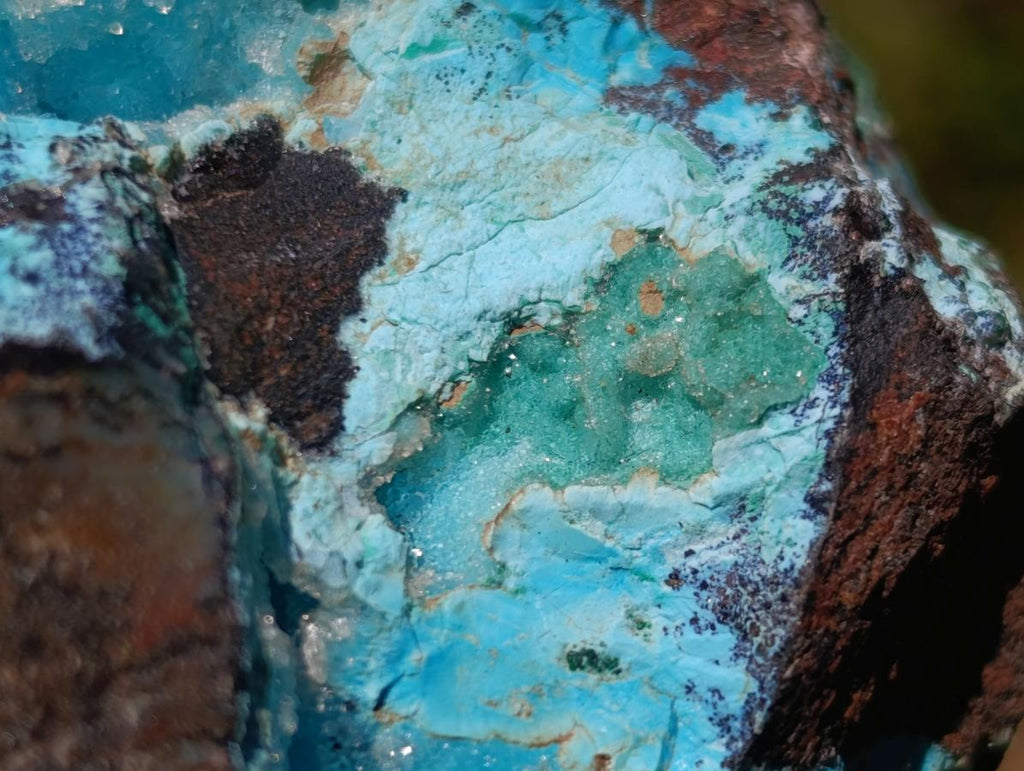 Natural Drusy Coated Chrysocolla with Malachite on a Ferro Dolomite Matrix x 1 From Lupoto Mine, Congo
