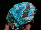 Natural Drusy Coated Chrysocolla with Malachite on a Ferro Dolomite Matrix x 1 From Lupoto Mine, Congo
