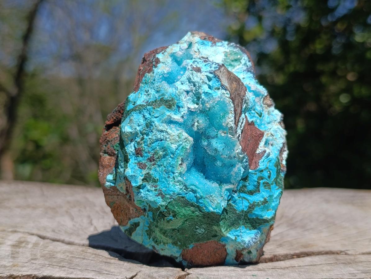 Natural Drusy Coated Chrysocolla with Malachite on a Ferro Dolomite Matrix x 1 From Lupoto Mine, Congo