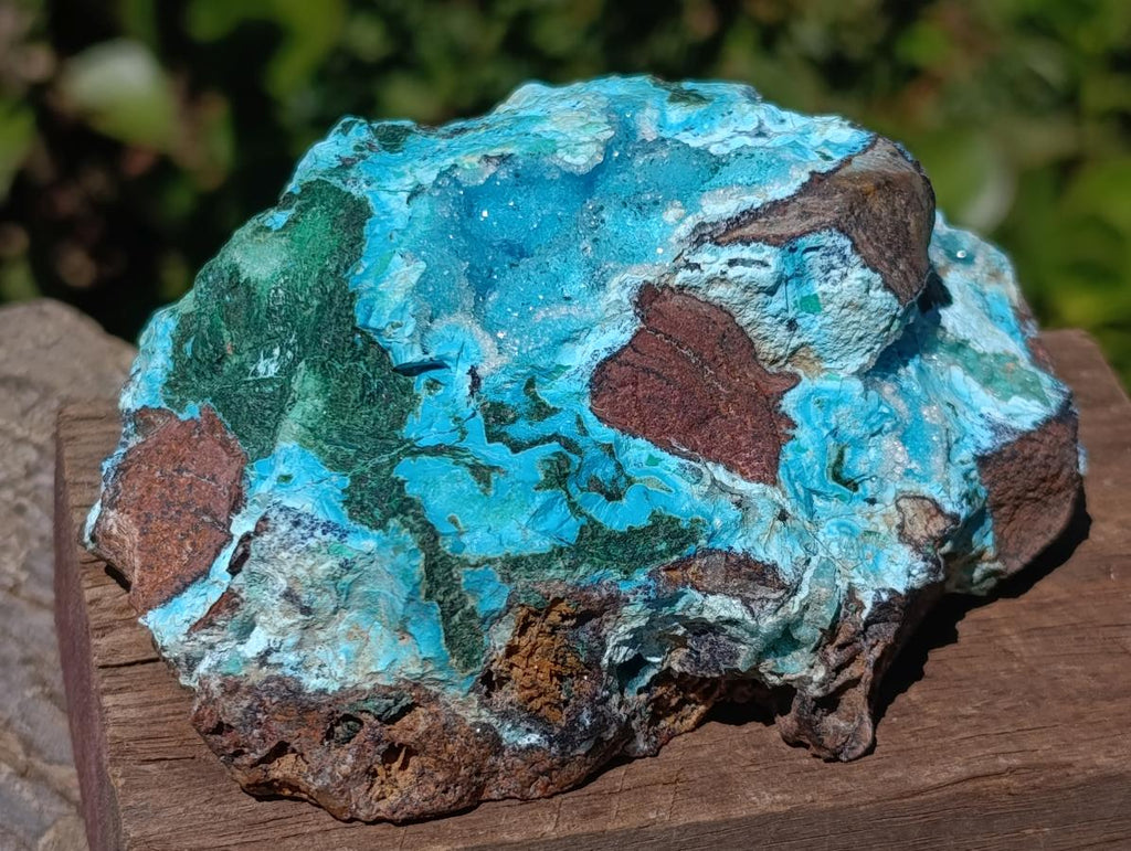 Natural Drusy Coated Chrysocolla with Malachite on a Ferro Dolomite Matrix x 1 From Lupoto Mine, Congo